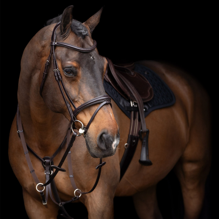 Collier De Chasse HV Polo Legacy Avec Martingale Marron foncé