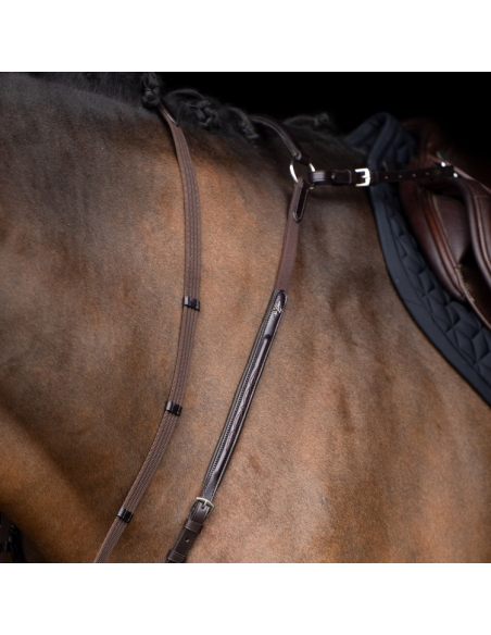 Collier De Chasse HV Polo Legacy Avec Martingale Marron foncé
