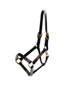 Licol Kentucky Cuir Wellington Noir