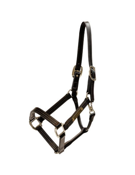 Licol Kentucky Cuir Wellington Marron