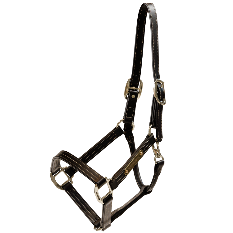 Licol Kentucky Cuir Wellington Marron