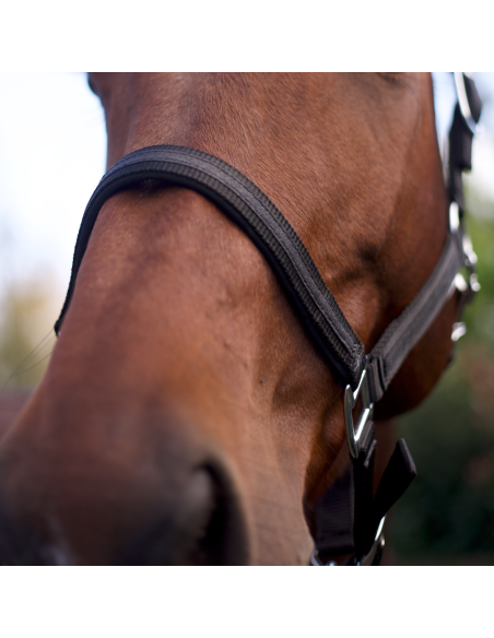 Set Licol + Longe Flags & Cup Atamik Noir