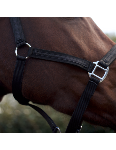 Set Licol + Longe Flags & Cup Atamik Noir