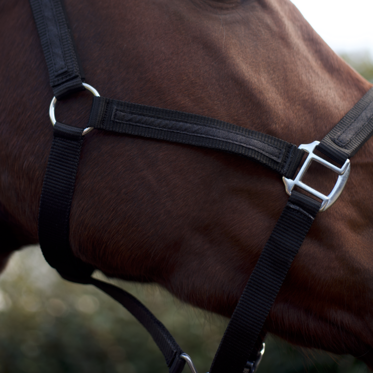 Set Licol + Longe Flags & Cup Atamik Noir