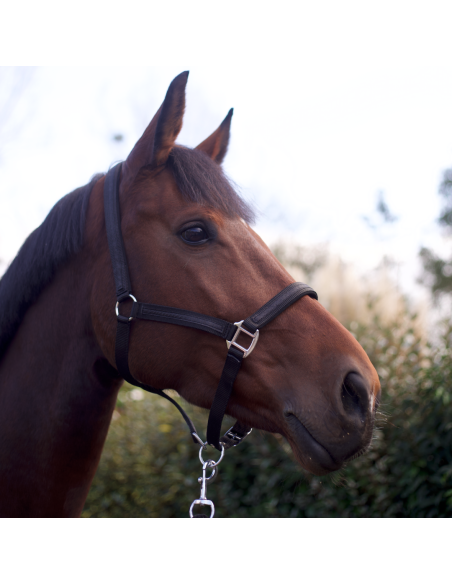 Set Licol + Longe Flags & Cup Atamik Noir