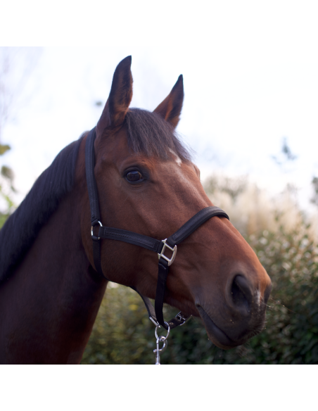Set Licol + Longe Flags & Cup Atamik Noir