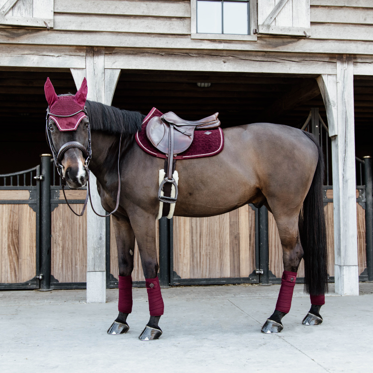 Tapis De Selle Kentucky Velvet Jumping Bordeaux