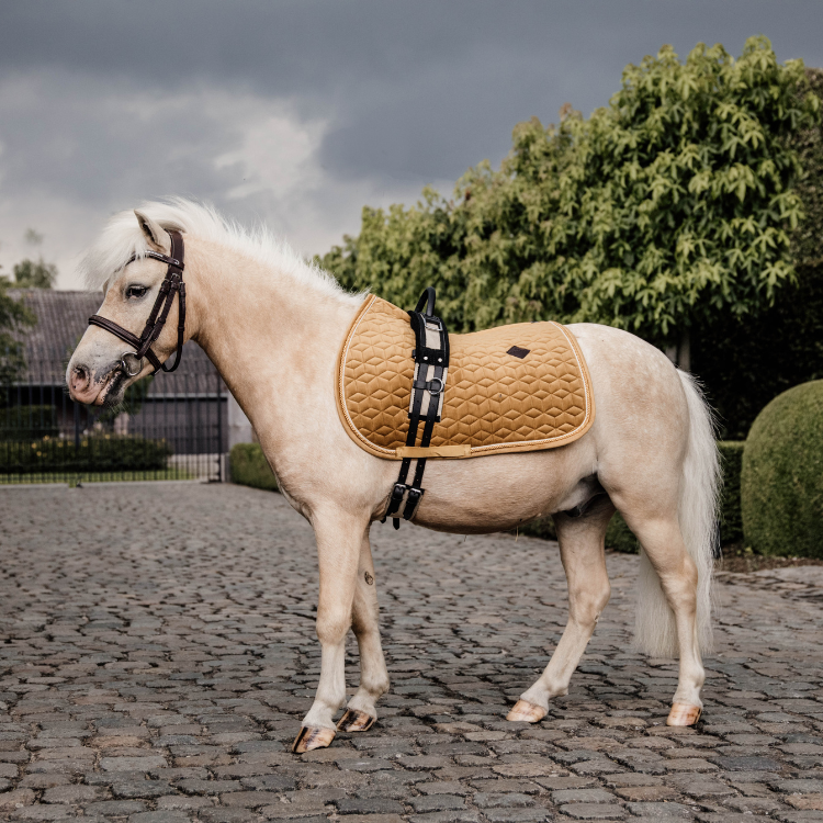 Tapis De Selle Kentucky Velvet Jumping Poney Moutarde