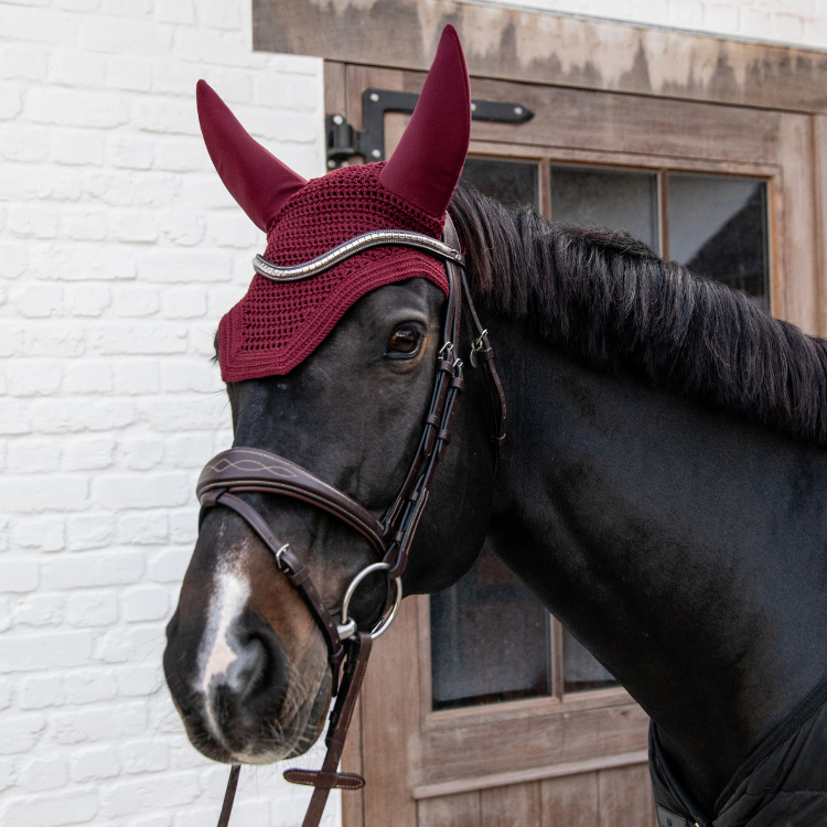 Bonnet Kentucky Wellington Insonorisé Bordeaux