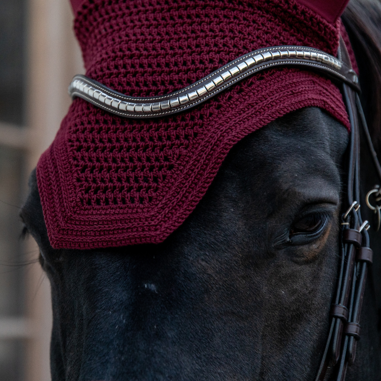 Bonnet Kentucky Wellington Insonorisé Bordeaux