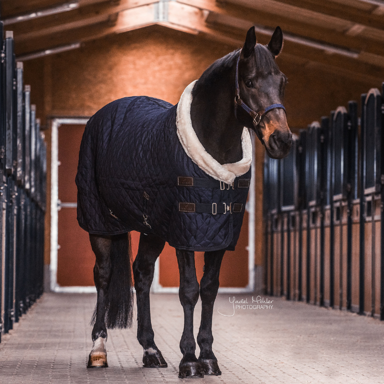 Couverture D'écurie Kentucky 160g Marine