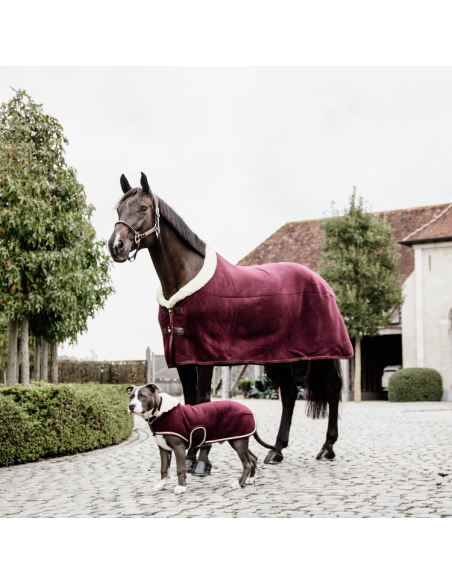 Chemise Polaire Kentucky Show Rug Bordeaux