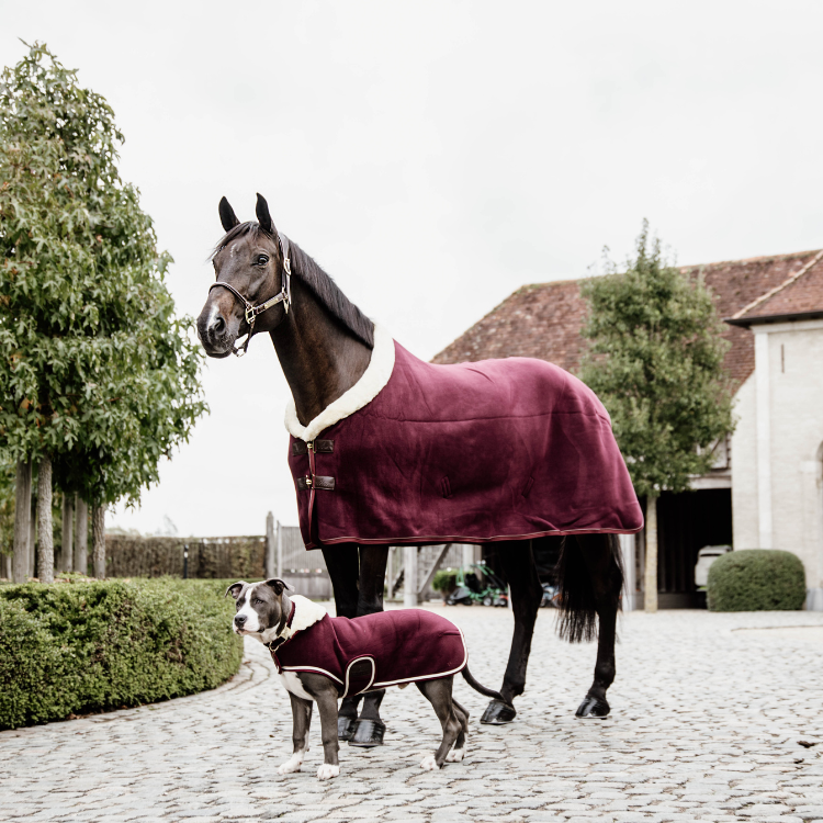 Chemise Polaire Kentucky Show Rug Bordeaux