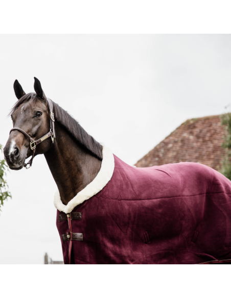 Chemise Polaire Kentucky Show Rug Bordeaux