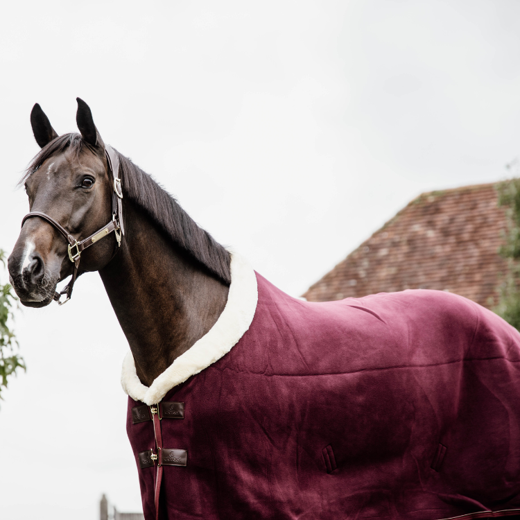 Chemise Polaire Kentucky Show Rug Bordeaux