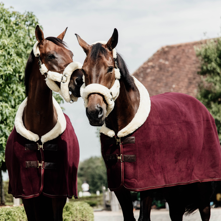Chemise Polaire Kentucky Show Rug Bordeaux