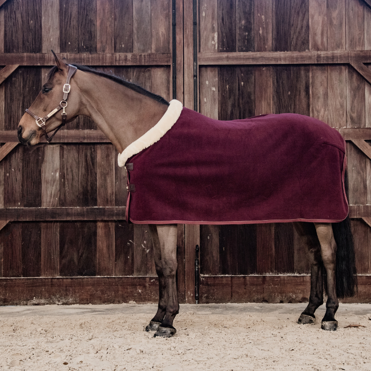 Chemise Polaire Kentucky Show Rug Bordeaux