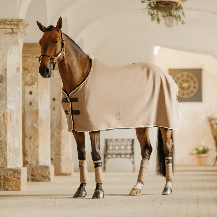 Bandes De Polo Kentucky Show Vegan Wool