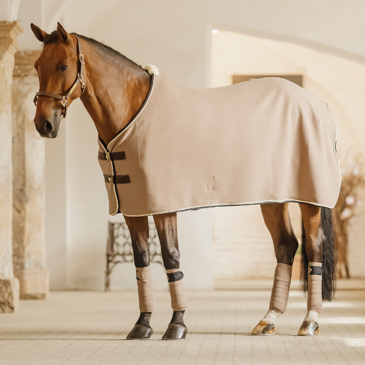 Bandes De Polo Kentucky Show Vegan Wool