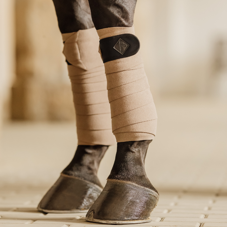 Bandes De Polo Kentucky Show Vegan Wool