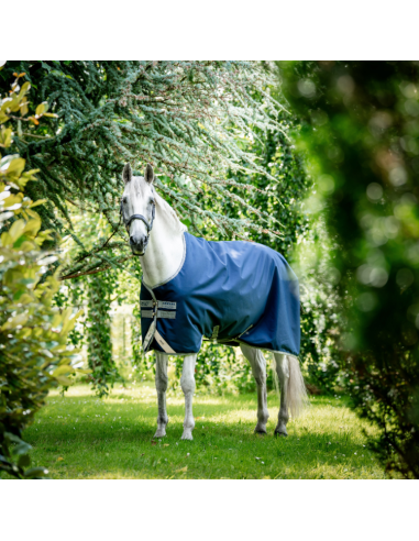 Horseware Amigo Bravo 12 Turnout 50g Rug navy/grey