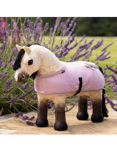 Poney LeMieux Dream 2