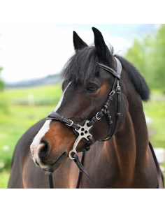 Bridon Hackamore Jump'In One Premium HAVANE