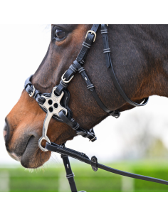 Bridon Hackamore Jump'In One Premium HAVANE 2