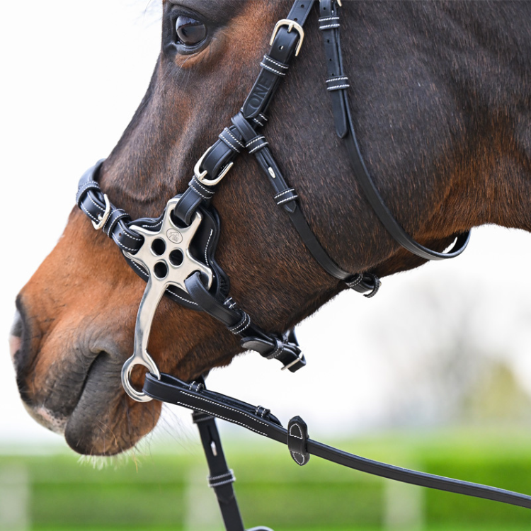 Bridon Hackamore Jump'In One Premium NOIR