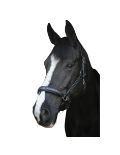 Licol Penelope Cuir Point Sellier Noisette 2