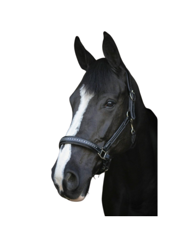 Licol Penelope Cuir Point Sellier Noisette