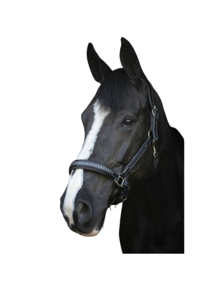 Licol Penelope Cuir Point Sellier Noir