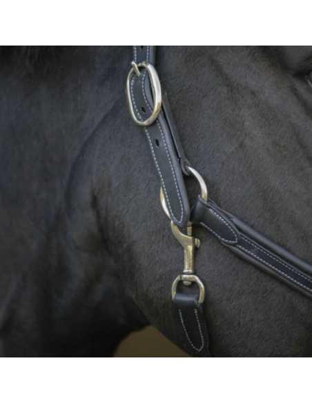 Licol Penelope Cuir Point Sellier Noir