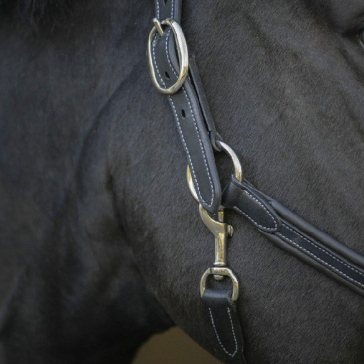 Licol Penelope Cuir Point Sellier Noir