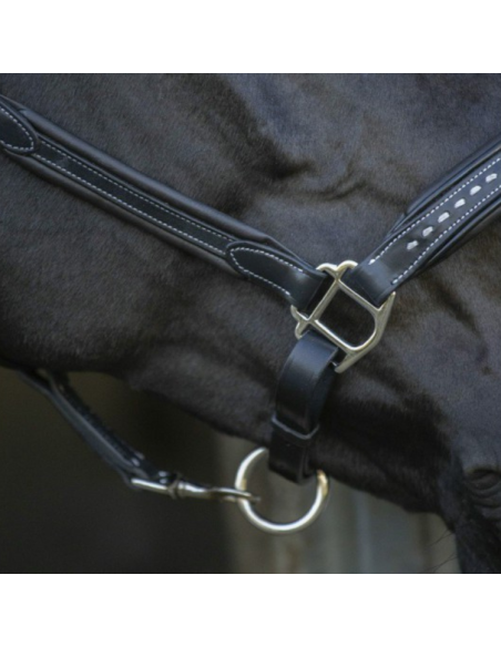 Licol Penelope Cuir Point Sellier Noir