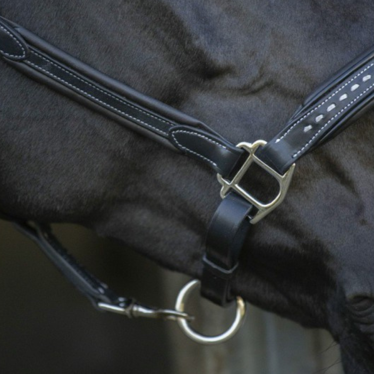 Licol Penelope Cuir Point Sellier Noir