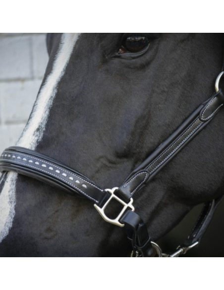 Licol Penelope Cuir Point Sellier Noir