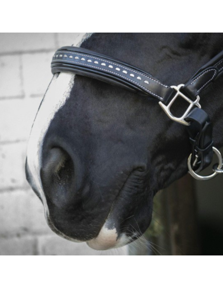 Licol Penelope Cuir Point Sellier Noir