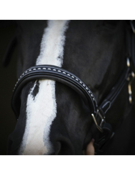 Licol Penelope Cuir Point Sellier Noir