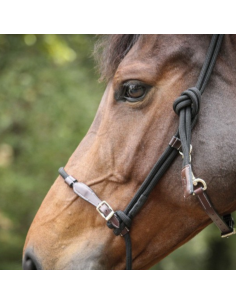 Licol Penelope Éthologique Noir/havane 2