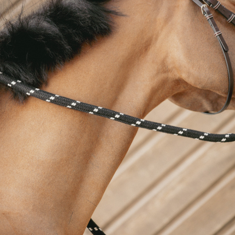 Longe Penelope Éthologique Noir/caramel