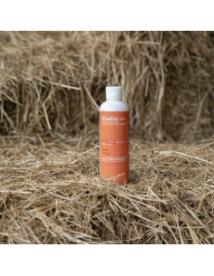 Alodis Care Work Recup 250ml 2