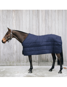 Kentucky Under Rug Skin Friendly 300g Marine 2