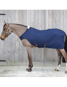 Kentucky Walker Rug Navy 2