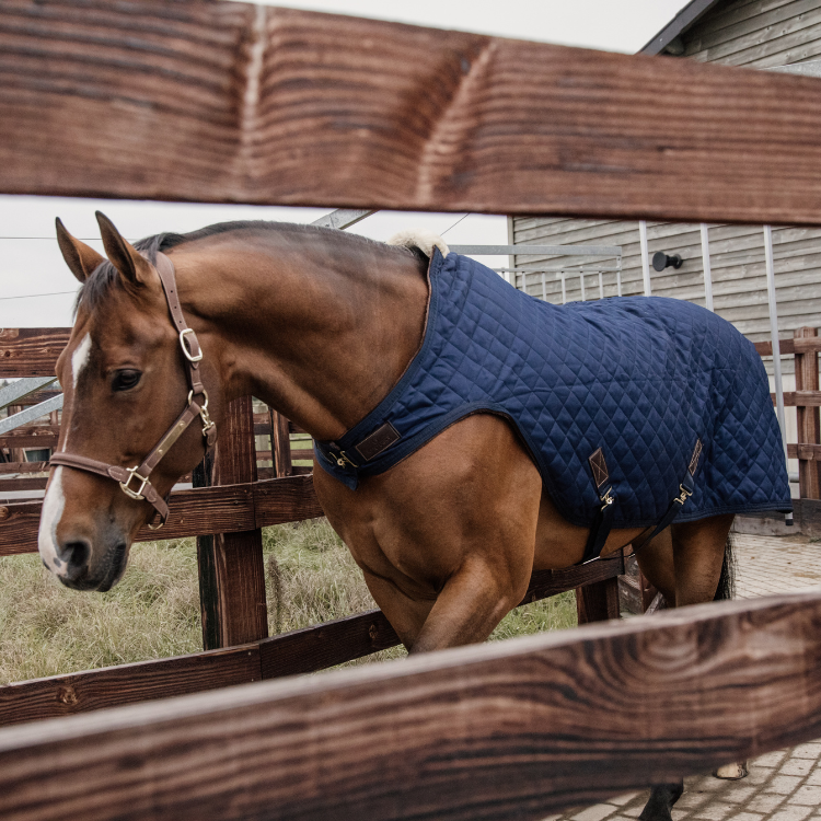 Couverture De Marcheur Kentucky Couvertures De Marcheur