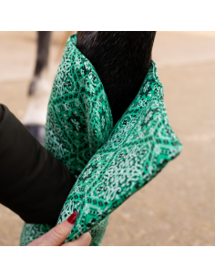 American cottons House Dormans