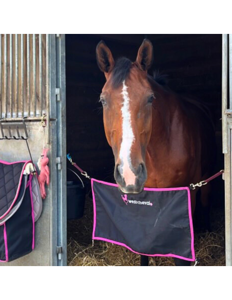 Porte De Box West Cheval