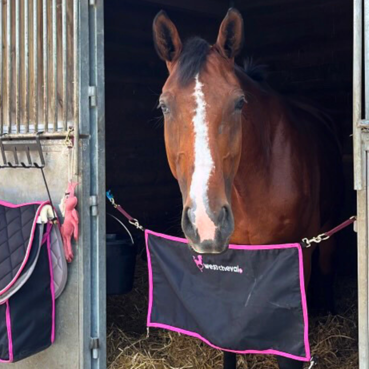 Porte De Box West Cheval