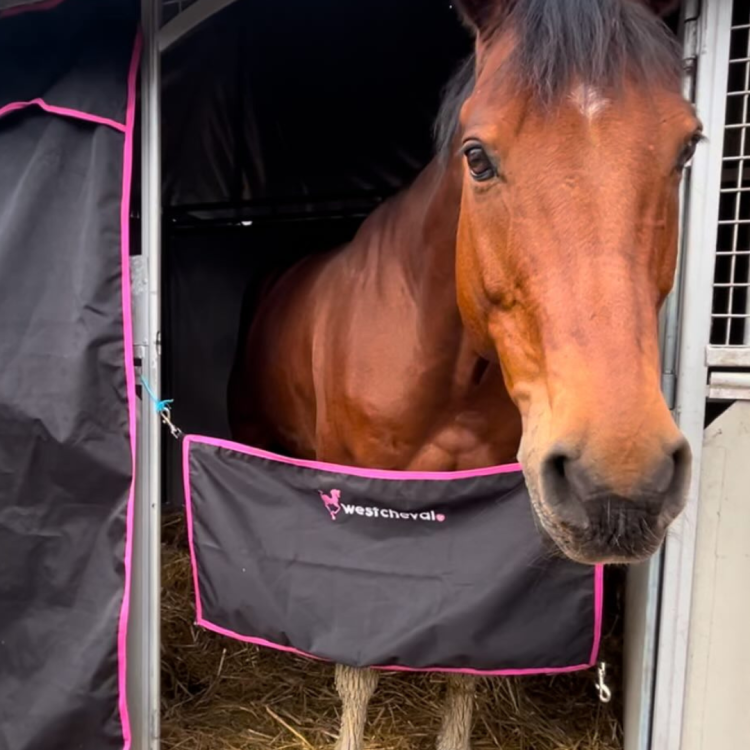 Porte De Box West Cheval