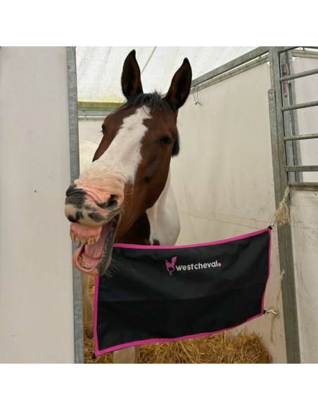Porte De Box West Cheval